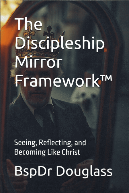 The Discipline Mirror Framework